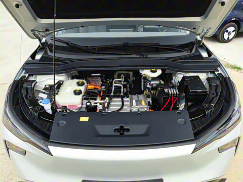 2025�� 565km ������