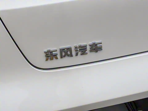 2025�� ���� 550ProѲ����