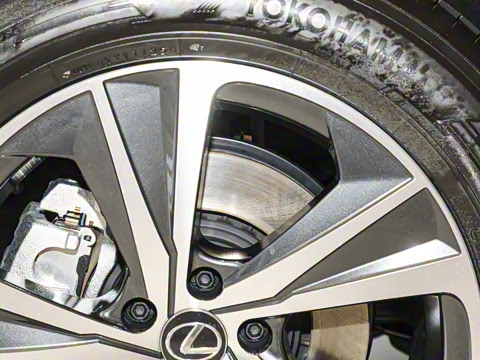 2025�� 300 ����������