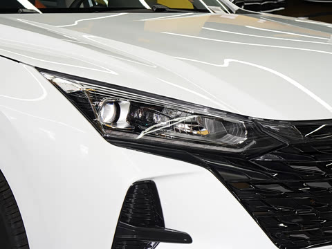 2025�� 1.5L ��ҫ��