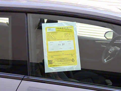 2023�� RS 5 2.9T Coupe �����