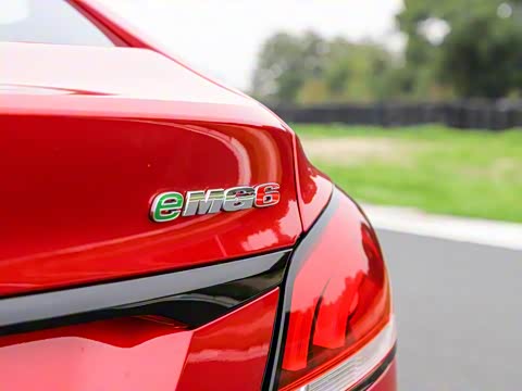 2019�� 50T Trophy 5���