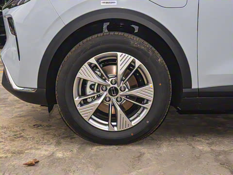 2025�� 565km ������