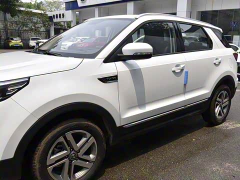 2019�� 1.5T �Զ���ɫ�� ��VI