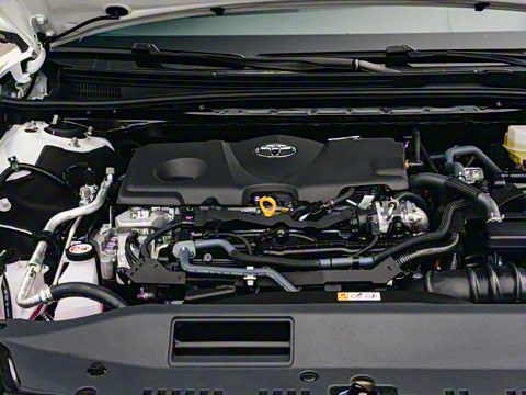 2025�� ˫�� 2.5HXS �˶�Plus���а�