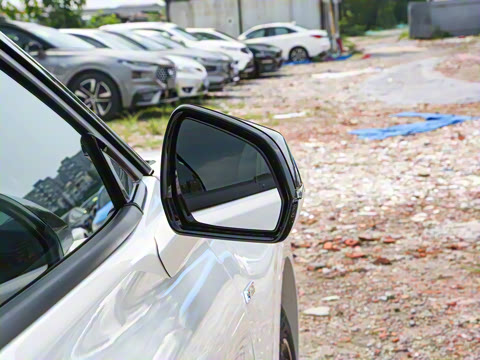 2022�� �Ŀ� EcoBoost 245 ST-Line