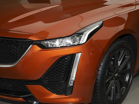 2023�� 28T ������