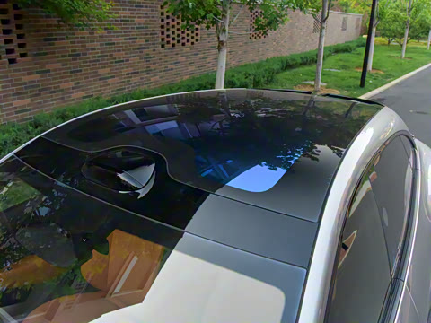 2025�� ������������������Max��