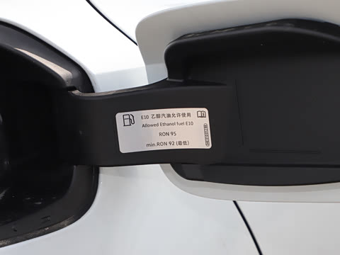 2025�� �Ŀ� 300TSI DSG���а�