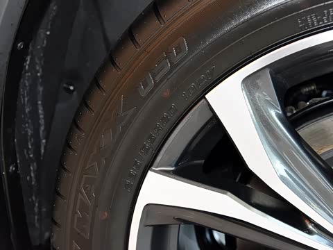 2020�� 300 �������Ű� ��VI