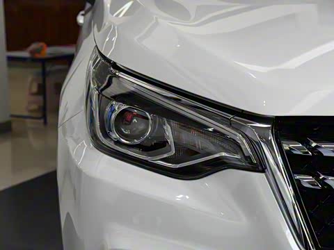 2019�� 1.4T �ֶ������