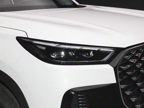 2025�� 290TGDI DCT�˷�� 