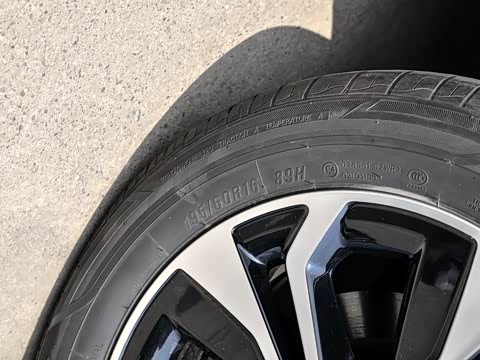 2019�� ������������