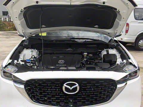 2025�� 2.0L �Զ�����������