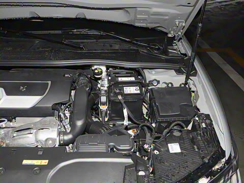 2023�� 1.6T ������CROSS��