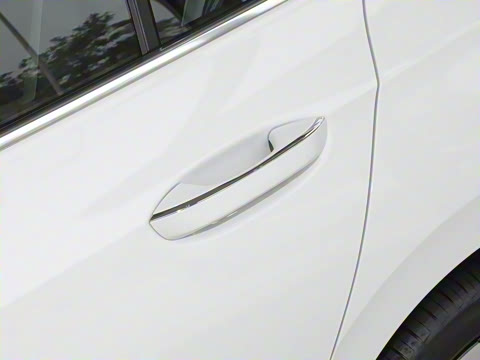 2025�� �Ŀ� 300TSI Pro