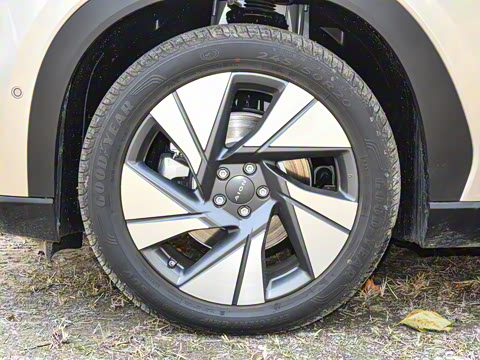 2020�� 80 �����