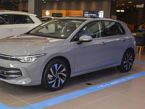 2025�� �Ŀ� 300TSI Pro