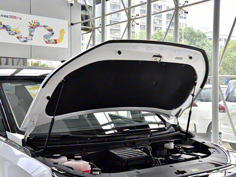 2024�� �Ŀ� ���� ��������ɭ�ְ� ����