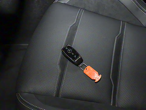 2025�� AMG GT 50 �����ܳ� �й��ر��