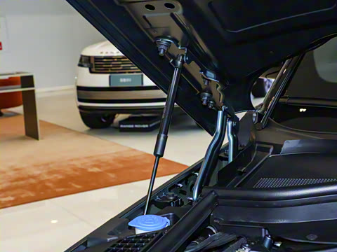 2025�� 400PS Dynamic HSE