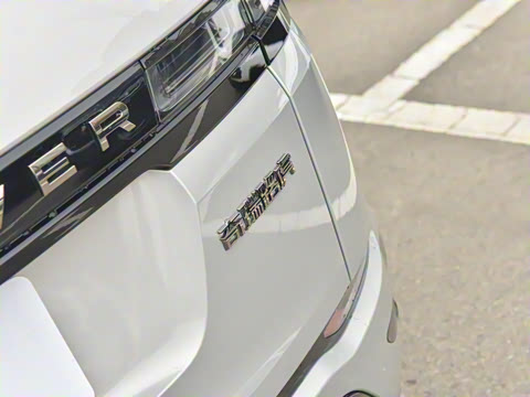 2022�� ����L P300e ���ʽ�綯��ϰ�