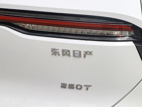 2023�� 260T ������ Pro