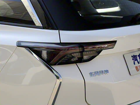 2020�� 230T �Զ�Խ���