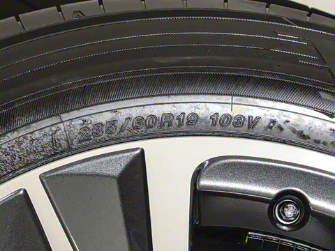 2025�� 300 ����������