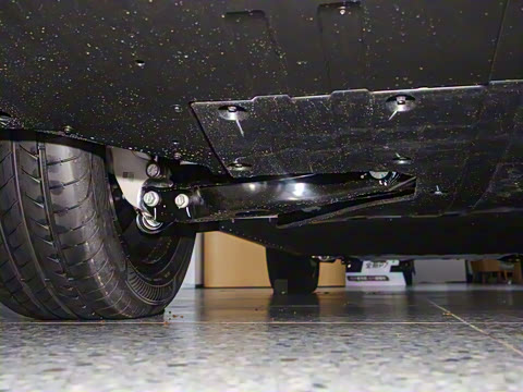 2025�� 725 �������� Max