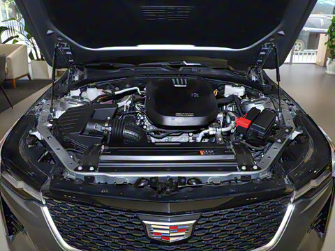 2023�� 25T ������