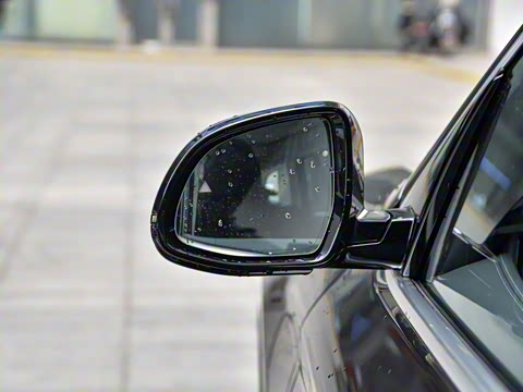 2021�� ������