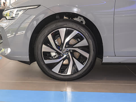 2025�� �Ŀ� 300TSI Pro