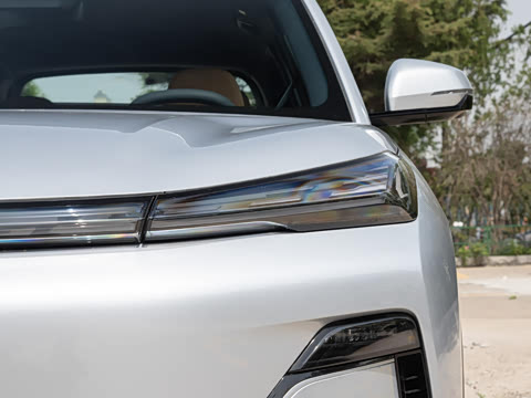 2025�� 55km ������