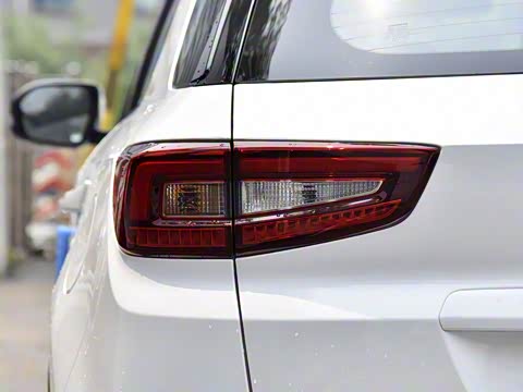 2019�� 1.5T �Զ���ɫ�� ��VI