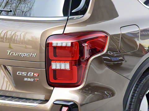 2020�� GS8S 390T ��������������