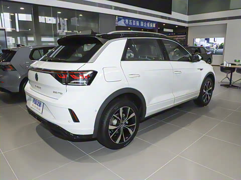 2025�� �Ŀ�� 300TSI DSG�����ǹ��