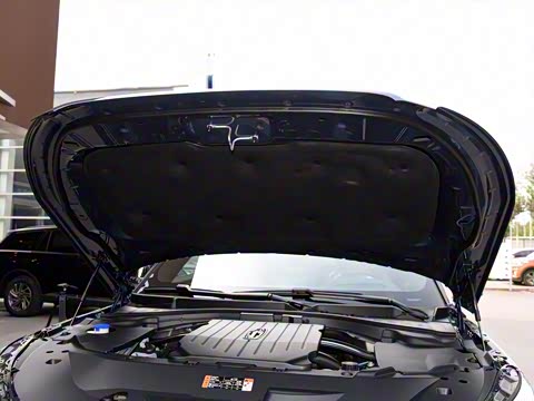 2020�� 3.0T V6 ������ͳ��