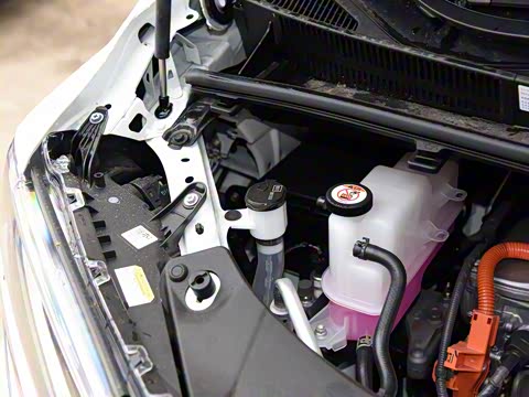 2019�� ˫�� 2.5L ����