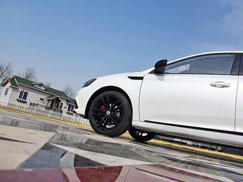 2019�� 20T �Զ�Trophy���Ǿ�����