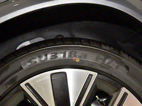 2026�� 165km ������������ 7��