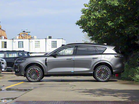 2025�� FREE+ ����Ǭ����