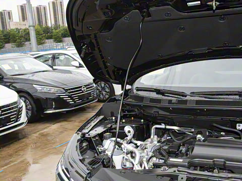 2025�� �Ŀ� ���� 2.0L CVT XV���İ�