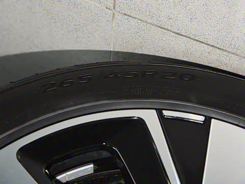 2023�� ������������