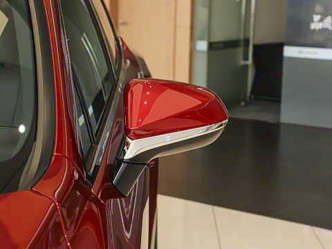 2025�� 300 ����������