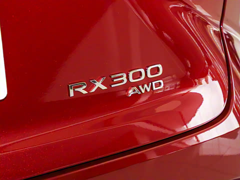 2025�� 300 ����������