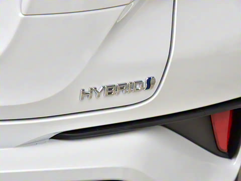 2023�� ˫�� 2.0L ������