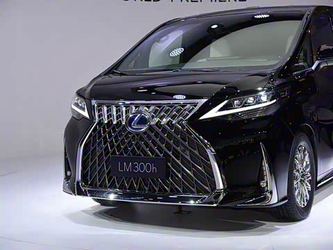 2020�� 300h ����������