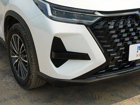 2024�� �ھ��� 290T ������ҫ�� 5��