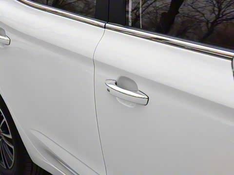 2019�� ���������